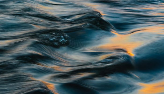 arpit-dhore-Cb5VOSRwKcE-unsplash arpit-dhore-Cb5VOSRwKcE-unsplash