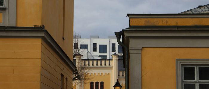 christer-lassman-WA1UDYnVm8Y-unsplash christer-lassman-WA1UDYnVm8Y-unsplash