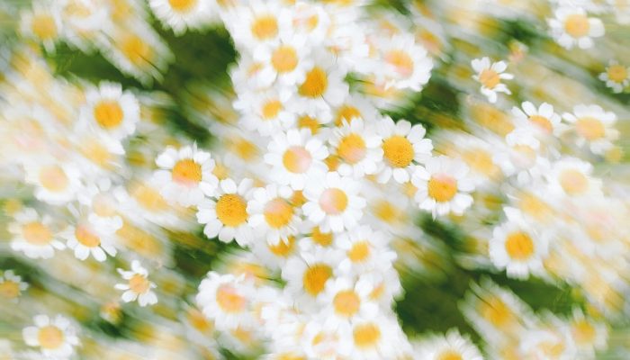 eugene-golovesov-pI3SllYWyfE-unsplash eugene-golovesov-pI3SllYWyfE-unsplash