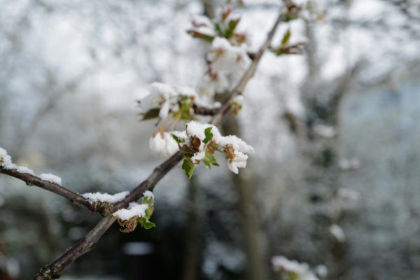 georg-eiermann-aVOmGbN5m0U-unsplash georg-eiermann-aVOmGbN5m0U-unsplash