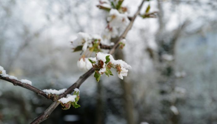 georg-eiermann-aVOmGbN5m0U-unsplash georg-eiermann-aVOmGbN5m0U-unsplash