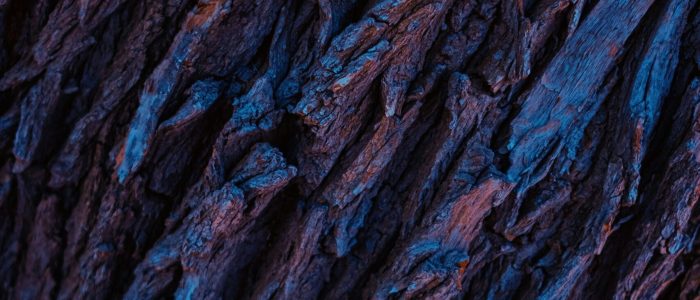 omid-armin-sFRQOGK8zoA-unsplash omid-armin-sFRQOGK8zoA-unsplash