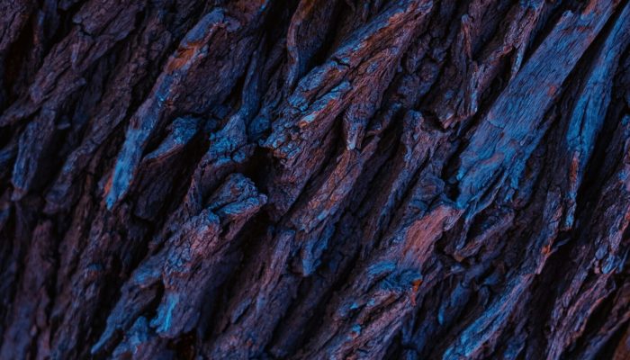 omid-armin-sFRQOGK8zoA-unsplash omid-armin-sFRQOGK8zoA-unsplash