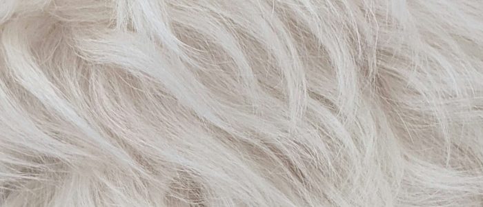 susan-wilkinson-KCoCB27h15Y-unsplash susan-wilkinson-KCoCB27h15Y-unsplash