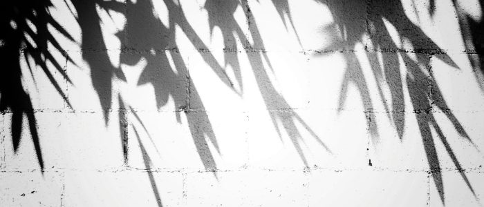 tim-mossholder-SHqyYGbFiQM-unsplash tim-mossholder-SHqyYGbFiQM-unsplash