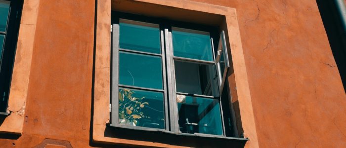 yehor-litsov-fikzrLpe19M-unsplash yehor-litsov-fikzrLpe19M-unsplash